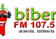 Biber FM