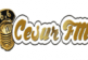 Cesur FM