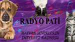 Radyo Pati