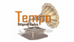 Tempo Radyo